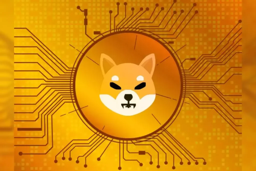 Is Shiba INU Private Cryptocurrency