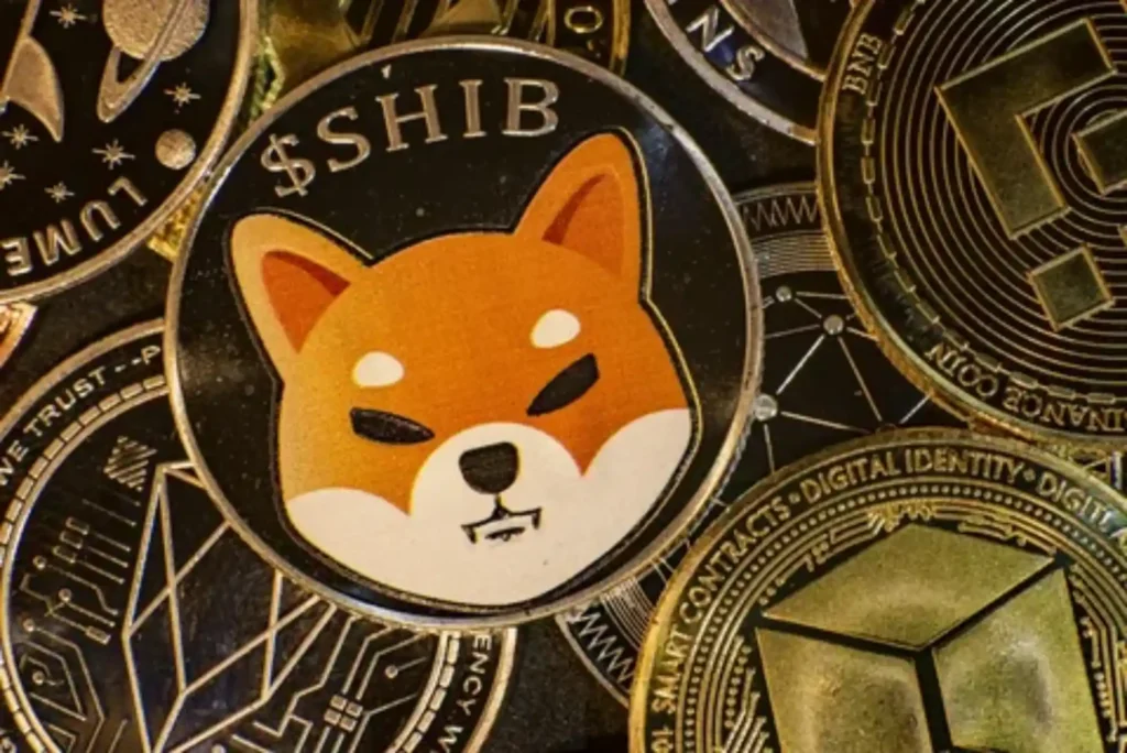 Is Shiba INU Private Cryptocurrency