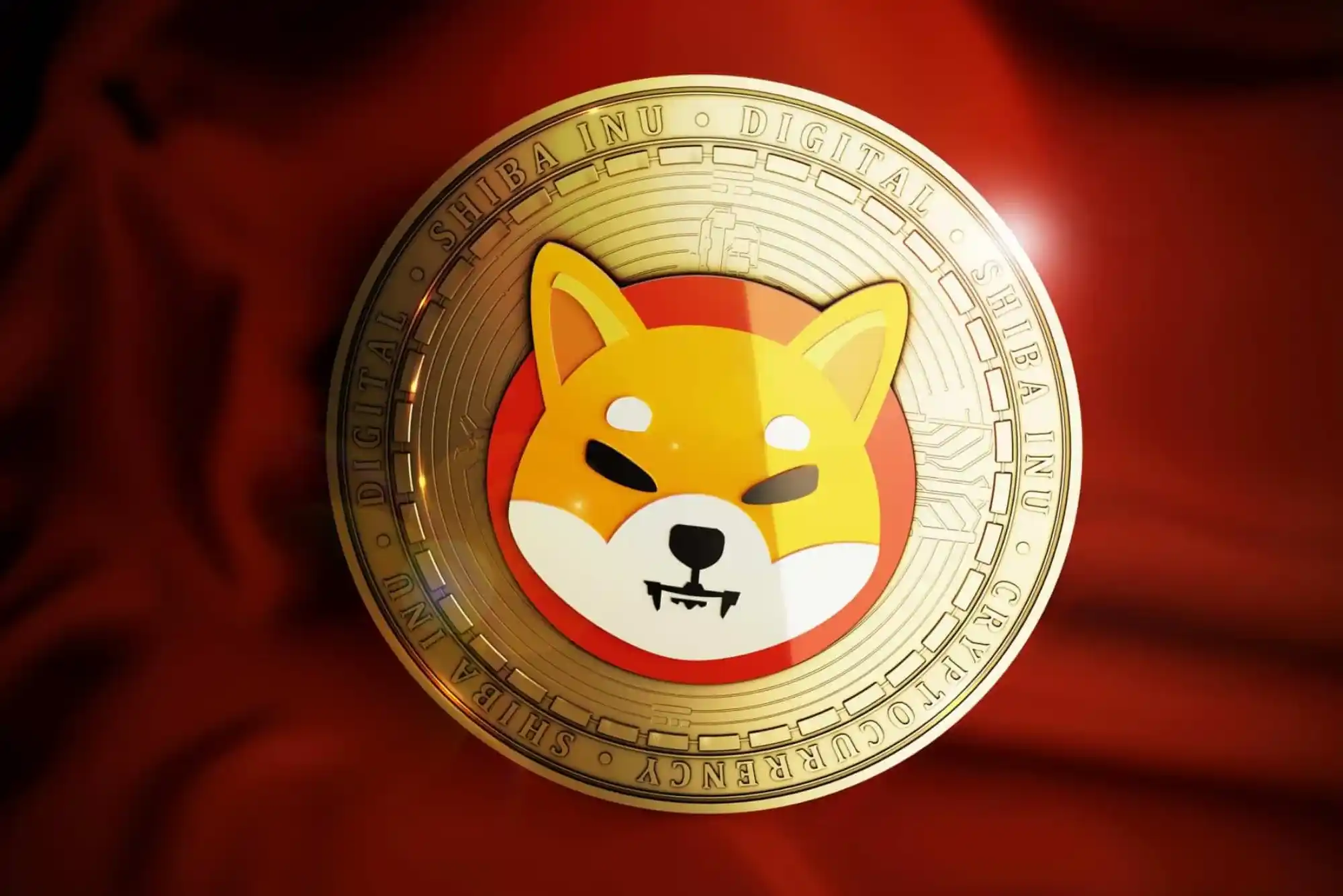 Does Shiba Inu Qualify as a Private Cryptocurrency?